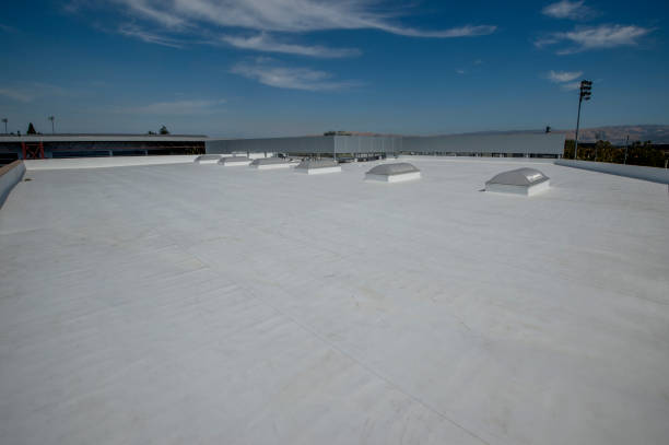 Steel Roofing in Blaine, TN