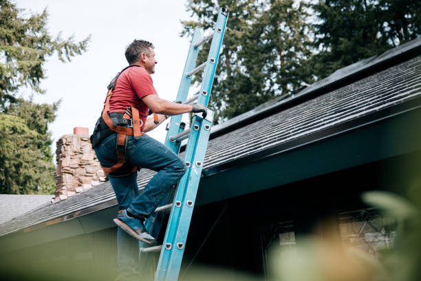 Best Solar Panel Roofing Installation  in Blaine, TN
