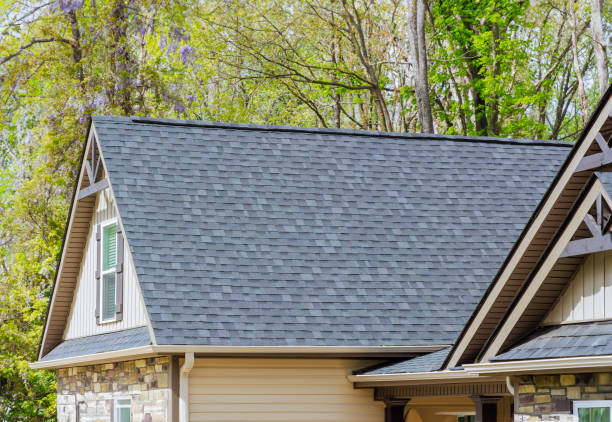 Best Roof Ventilation Installation  in Blaine, TN